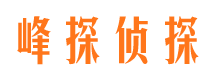 阜新市调查公司